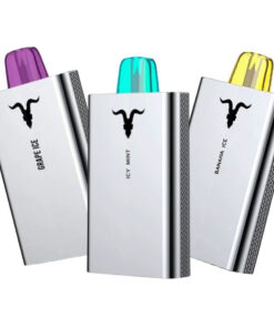 Ignite V50 Vape Descartável